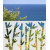 ROS21 70x47 naklejka na okno wzory roślinne - bambusy